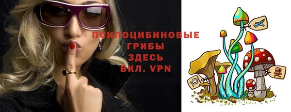 молекула духа Новодвинск