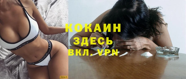 молекула духа Новодвинск