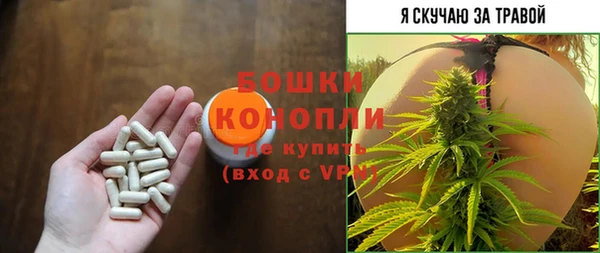 ПСИЛОЦИБИНОВЫЕ ГРИБЫ Новозыбков