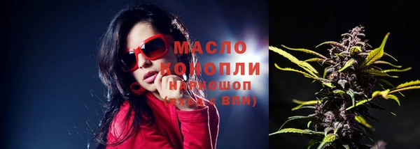 молекула духа Новодвинск