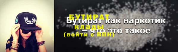 индика Няндома