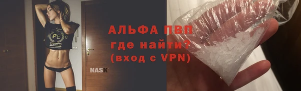 молекула духа Новодвинск