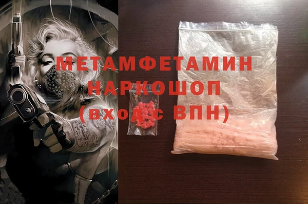 ПСИЛОЦИБИНОВЫЕ ГРИБЫ Новозыбков