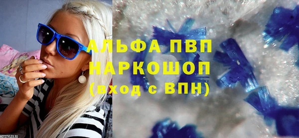 ПСИЛОЦИБИНОВЫЕ ГРИБЫ Новозыбков