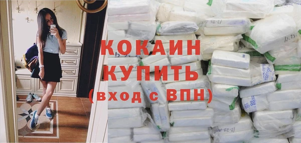 ПСИЛОЦИБИНОВЫЕ ГРИБЫ Новозыбков