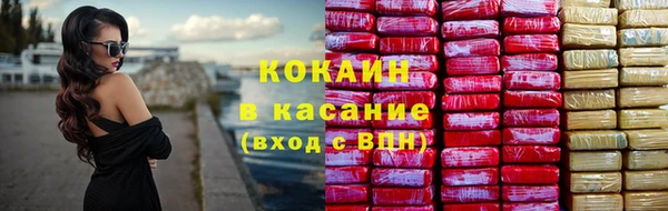 ПСИЛОЦИБИНОВЫЕ ГРИБЫ Новозыбков