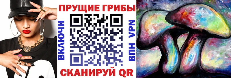 купить наркоту  Заводоуковск  Галлюциногенные грибы MAGIC MUSHROOMS 