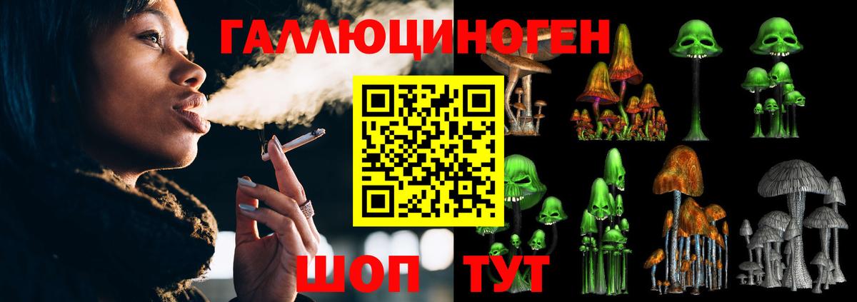 Галлюциногенные грибы MAGIC MUSHROOMS  наркошоп  Заводоуковск  Галлюциногенные грибы прущие грибы 